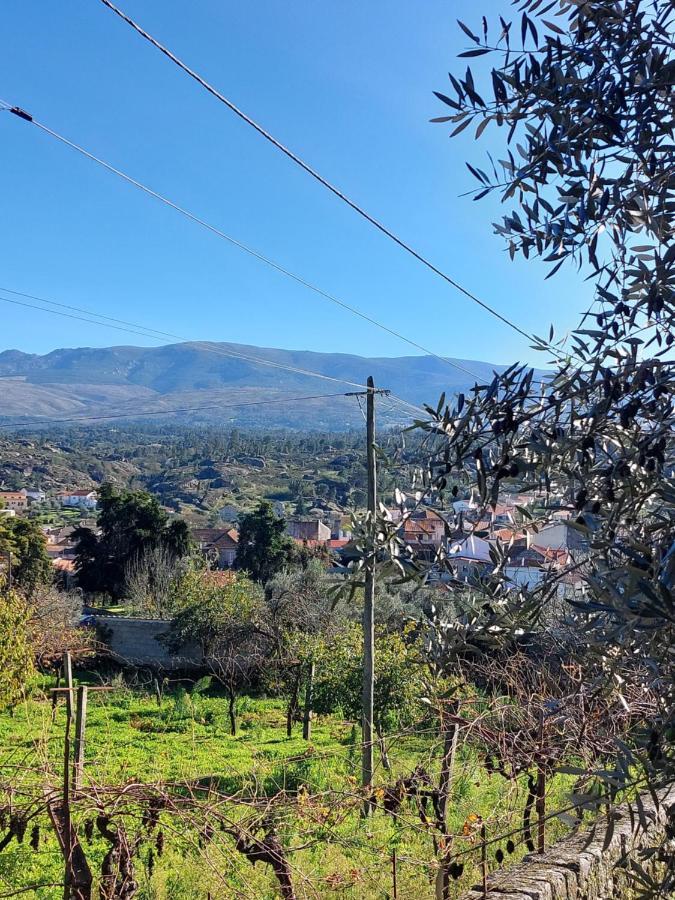 Casa Das Cortes - Serra Da Estrela Apartment Гоувея Екстериор снимка