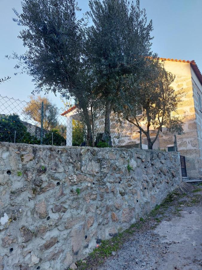 Casa Das Cortes - Serra Da Estrela Apartment Гоувея Екстериор снимка
